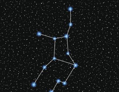 Зодиакальный гороскоп дева Профессии родившихся под знаком Дева